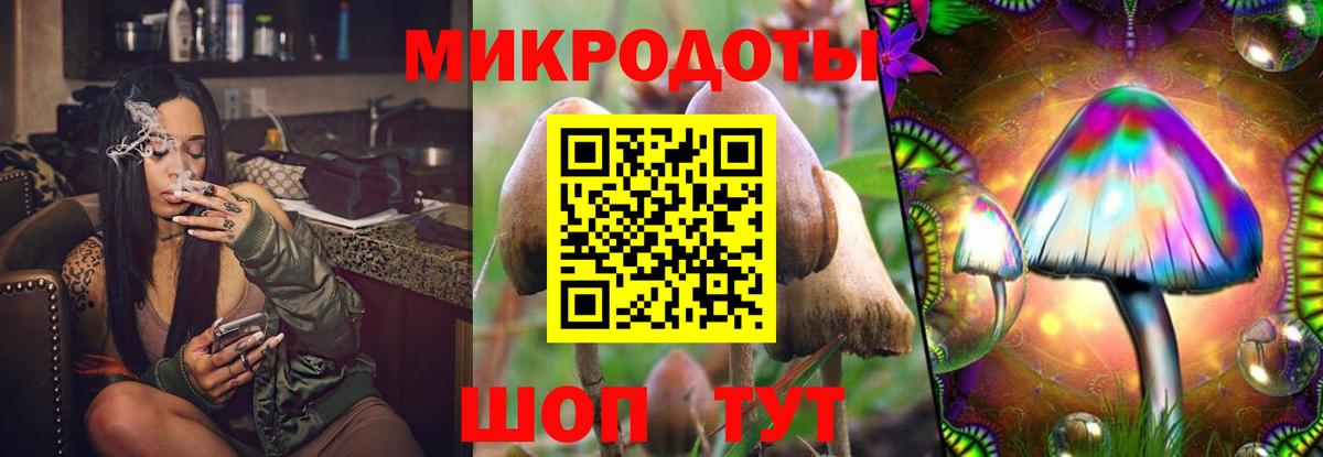 Псилоцибиновые грибы Psilocybine cubensis  Вход с VPN  цены наркотик  Псилоцибиновые грибы ЛСД  Железногорск 
