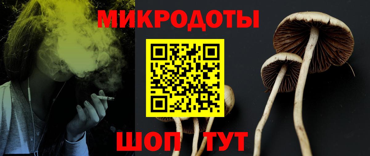 Псилоцибиновые грибы прущие грибы Железногорск